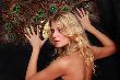 Model Portfolio Photo Of  - 