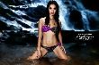 Model Portfolio Photo Of  - 