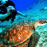 D N Free Easy Padi Open Water Dive Package Rm Pakej