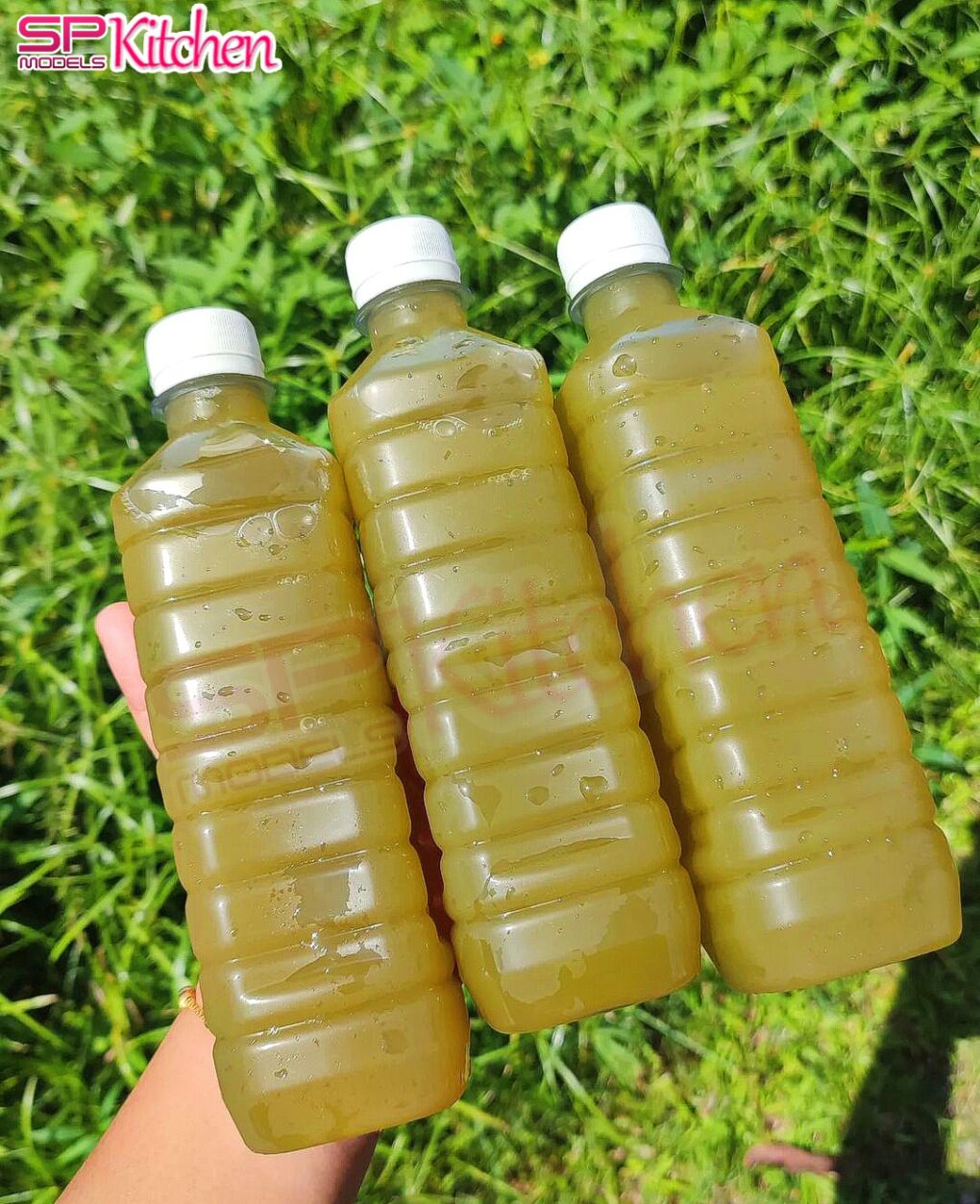 Air Tebu Borong Kuala Lumpur & Selangor | Jus Tebu Segar Murah | Jualan Pukal Minimum 250 Botol